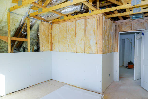 Best Types of Insulation in Platte, SD