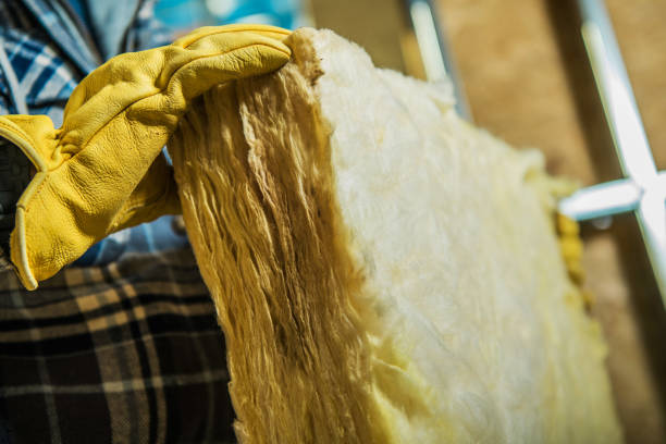 Best Types of Insulation in Platte, SD